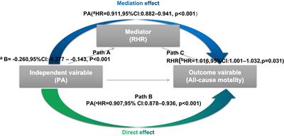 The mediation function of resting heart rate in how physical activity improves all-cause mortality: Continuous and automatic measurement via cardiac implantable electronic devices